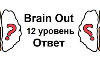 Brain Out 12 уровень