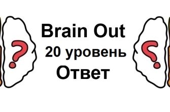 Brain Out 20 уровень