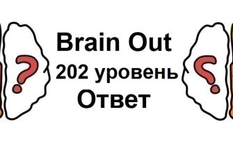 Brain Out 202 уровень