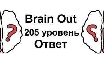 Brain Out 205 уровень