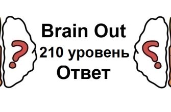 Brain Out 210 уровень