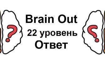 Brain Out 22 уровень