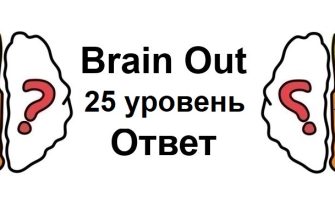 Brain Out 25 уровень