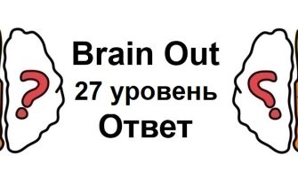 Brain Out 27 уровень