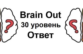 Brain Out 30 уровень
