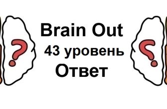 Brain Out 43 уровень