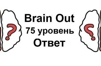 Brain Out 75 уровень