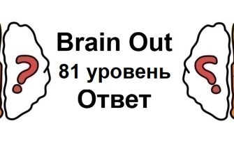 Brain Out 81 уровень
