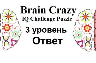 Brain Crazy 3 уровень