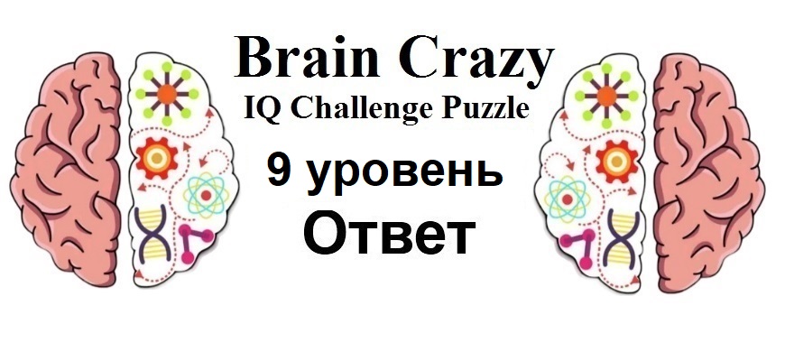 Brain Crazy 9 уровень