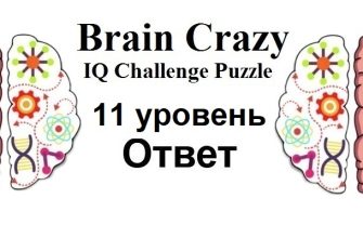 Brain Crazy 11 уровень