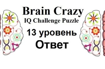 Brain Crazy 13 уровень