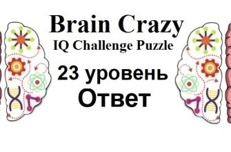 Brain Crazy 23 уровень