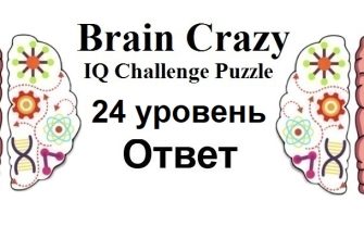 Brain Crazy 24 уровень