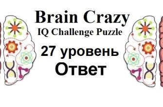 Brain Crazy 27 уровень