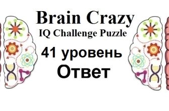 Brain Crazy 41 уровень