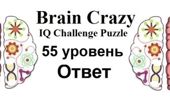 Brain Crazy 55 уровень