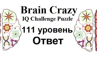 Brain Crazy 111 уровень