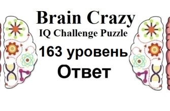 Brain Crazy 163 уровень