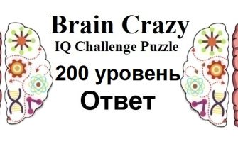 Brain Crazy 200 уровень