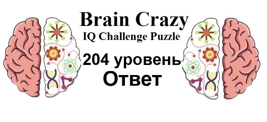 Brain Crazy 204 уровень