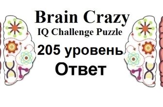 Brain Crazy 205 уровень