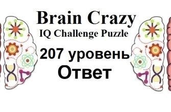 Brain Crazy 207 уровень