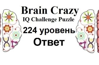 Brain Crazy 224 уровень