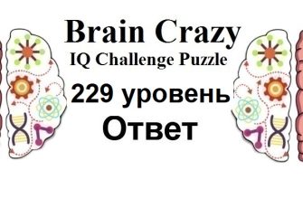 Brain Crazy 229 уровень