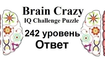 Brain Crazy 242 уровень