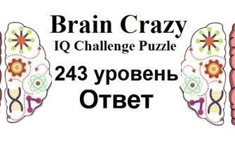 Brain Crazy 243 уровень